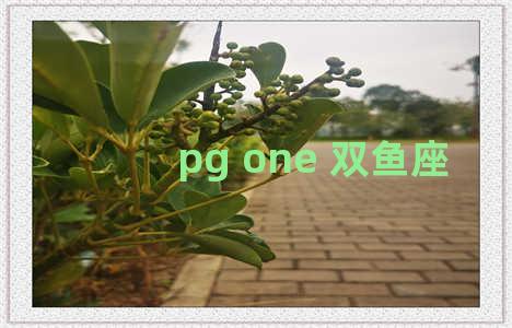 pg one 双鱼座